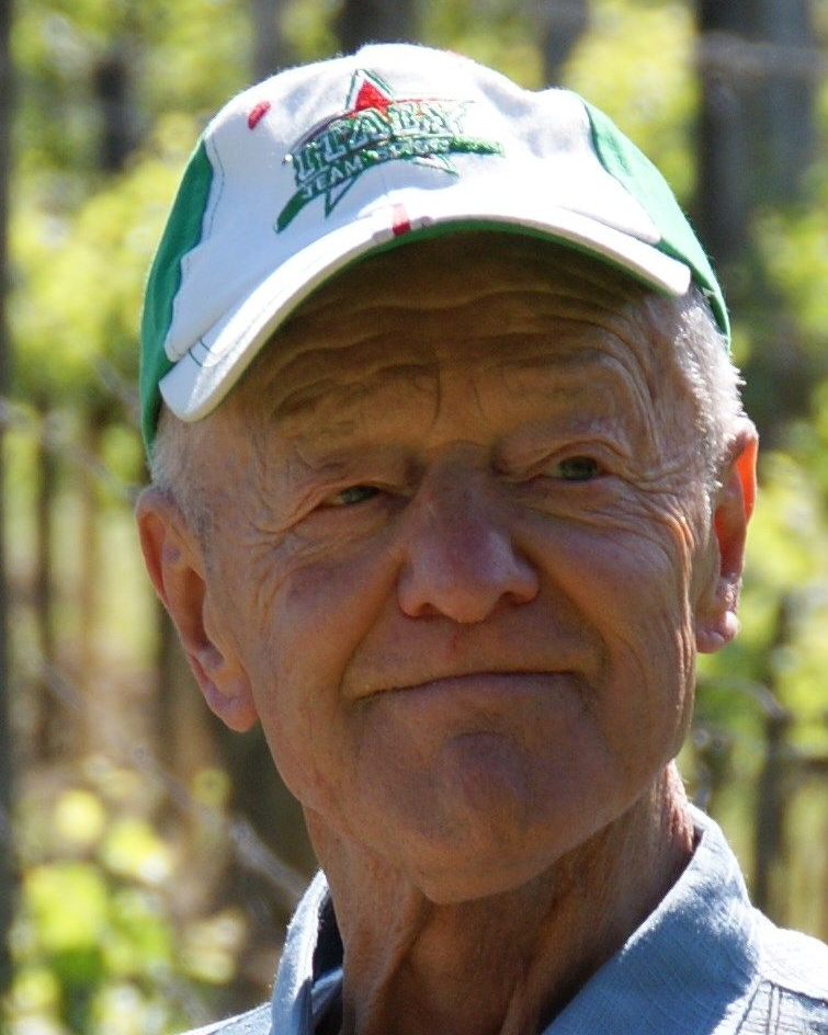 Avis de décès de Monsieur Louis PAVLICZ