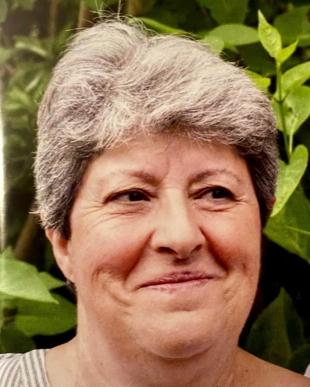 Avis de décès de Madame Salvatorica NATALI